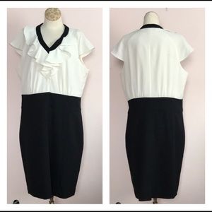 The Limited ivory and black dress ruffle neck 14